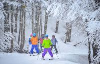 Residentes podrán esquiar gratis este fin de semana en Chapelco 