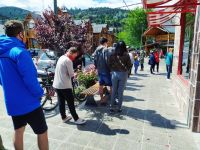 Más de un millón de turistas viajaron, pero cayó el gasto real