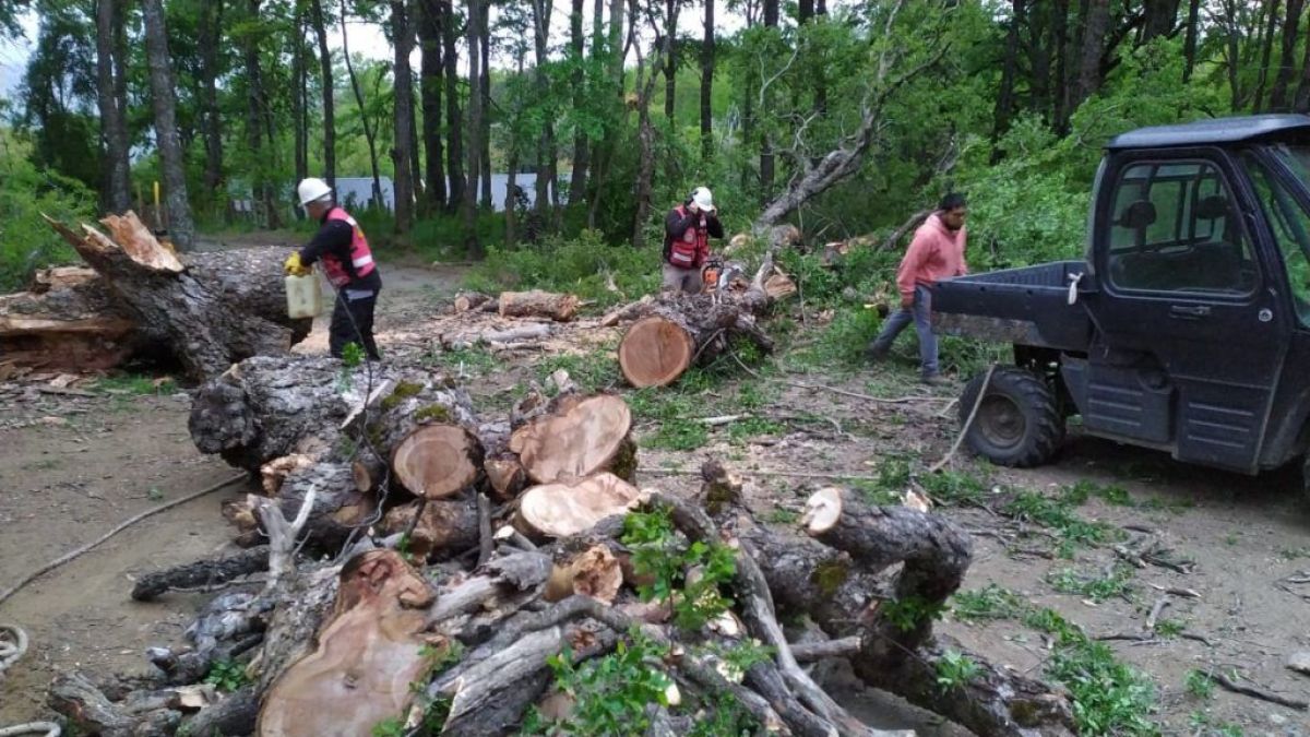 Destrozos por el temporal de viento 