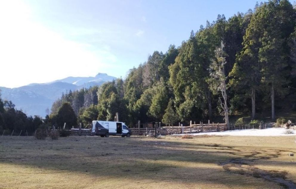 Denunciaron a funcionarios de Parques por talar un bosque nativo