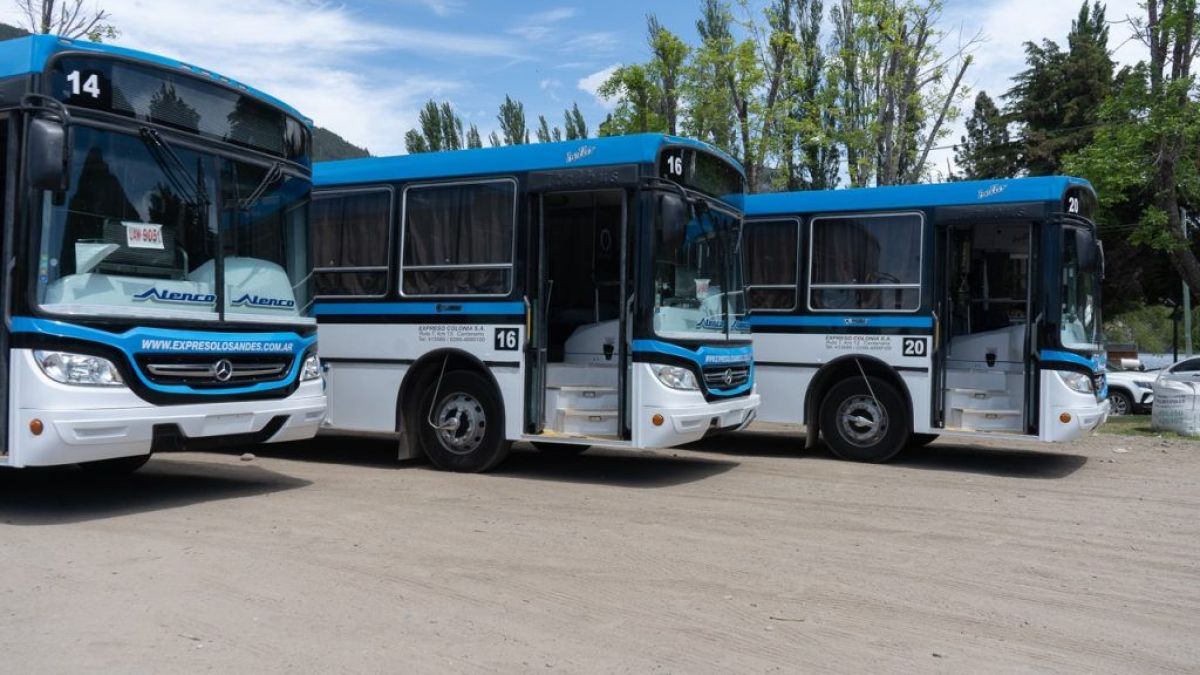 Expreso Los Andes presentó tres nuevas unidades