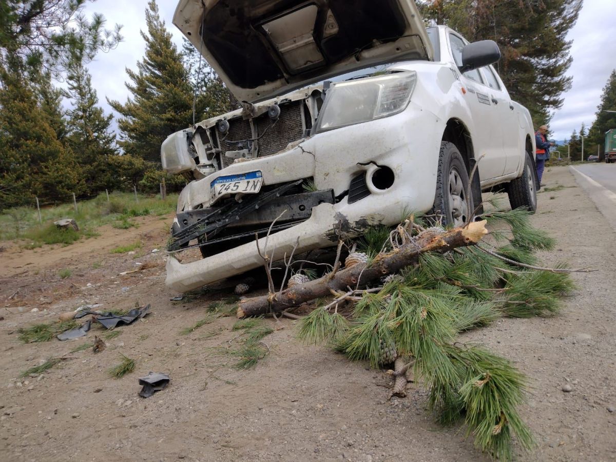 Cayó un árbol sobre una camioneta en la recta del aeropuerto de Bariloche