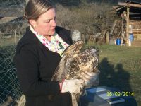 Cómo colaborar para salvar la fauna silvestre de San Martín de los Andes