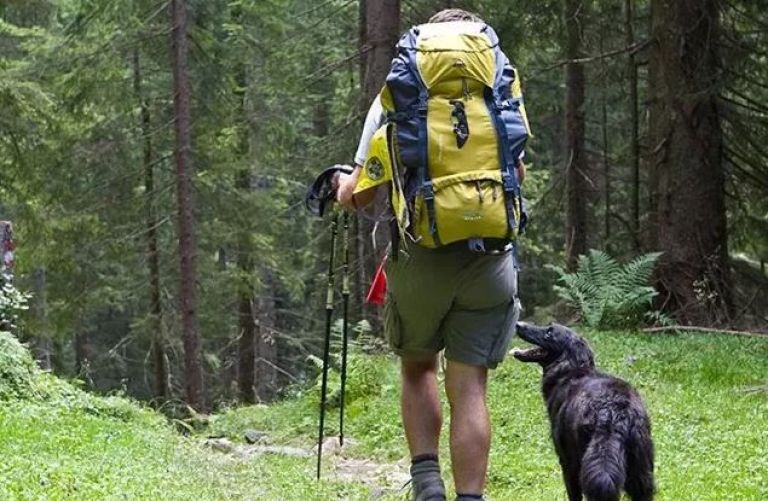 El debate por las mascotas dentro del Parque Nacional