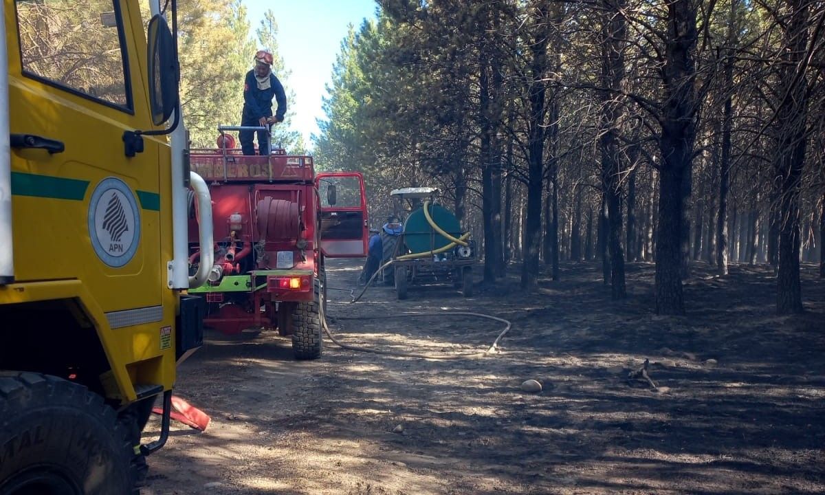 Brigadistas combatieron el incendio del Cerro Los Pinos