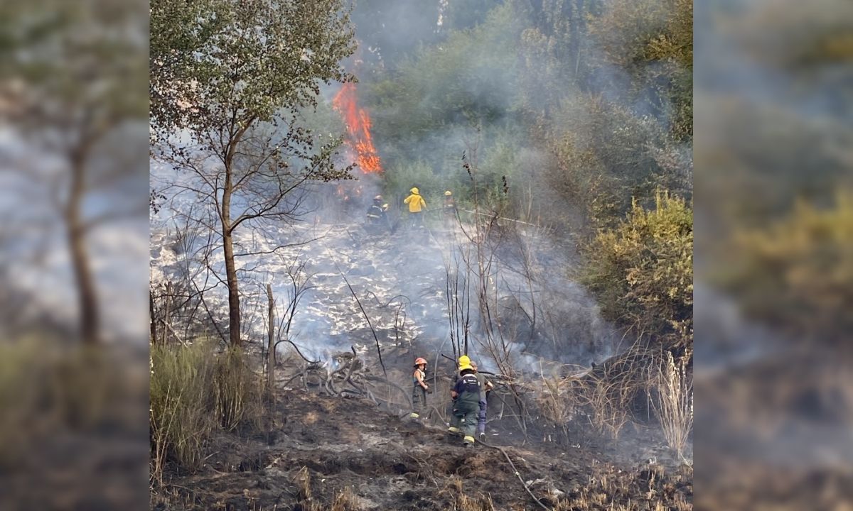 Incendio en la subida de Los Radales