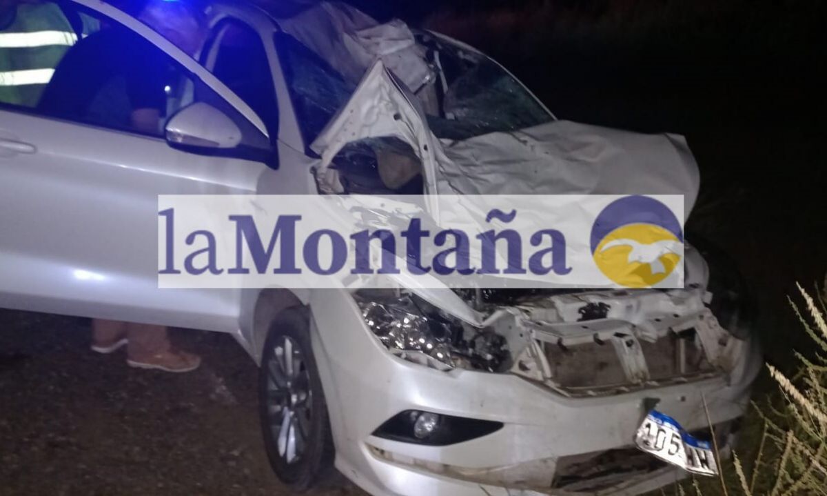 Chocó contra dos caballos sueltos en la Ruta 40