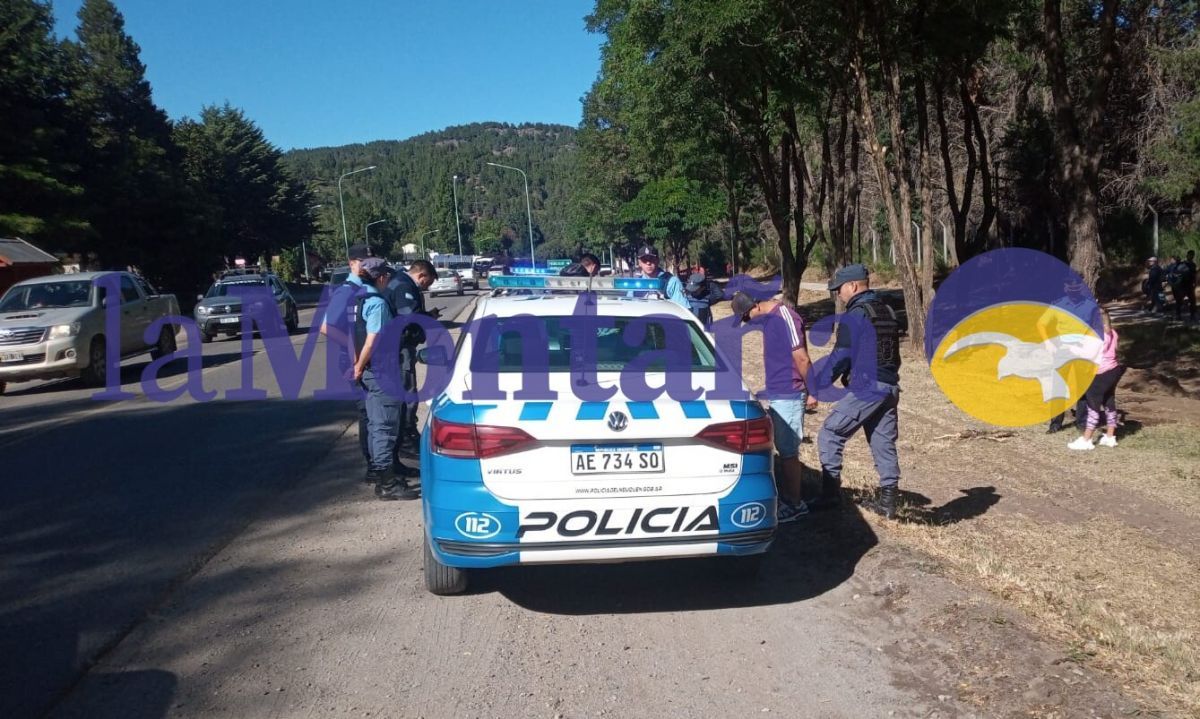 Robaron una cartera en La Angostura, los detuvieron en San Martín