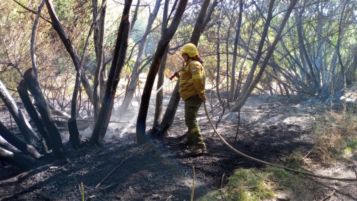 Controlan un incendio en pinares del Chapelco Golf