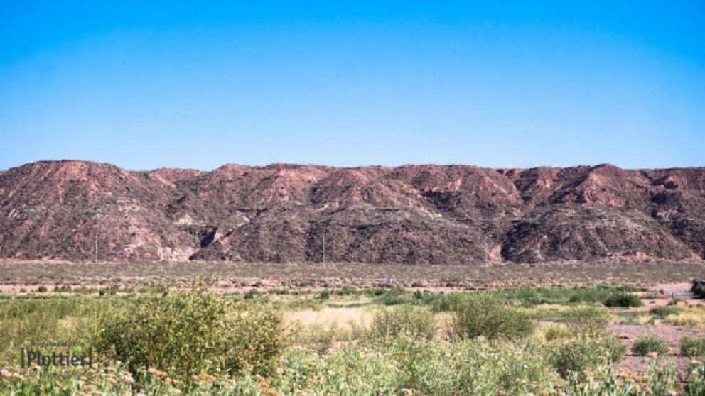 Horror en Plottier: encontraron el cuerpo de una mujer desmembrado