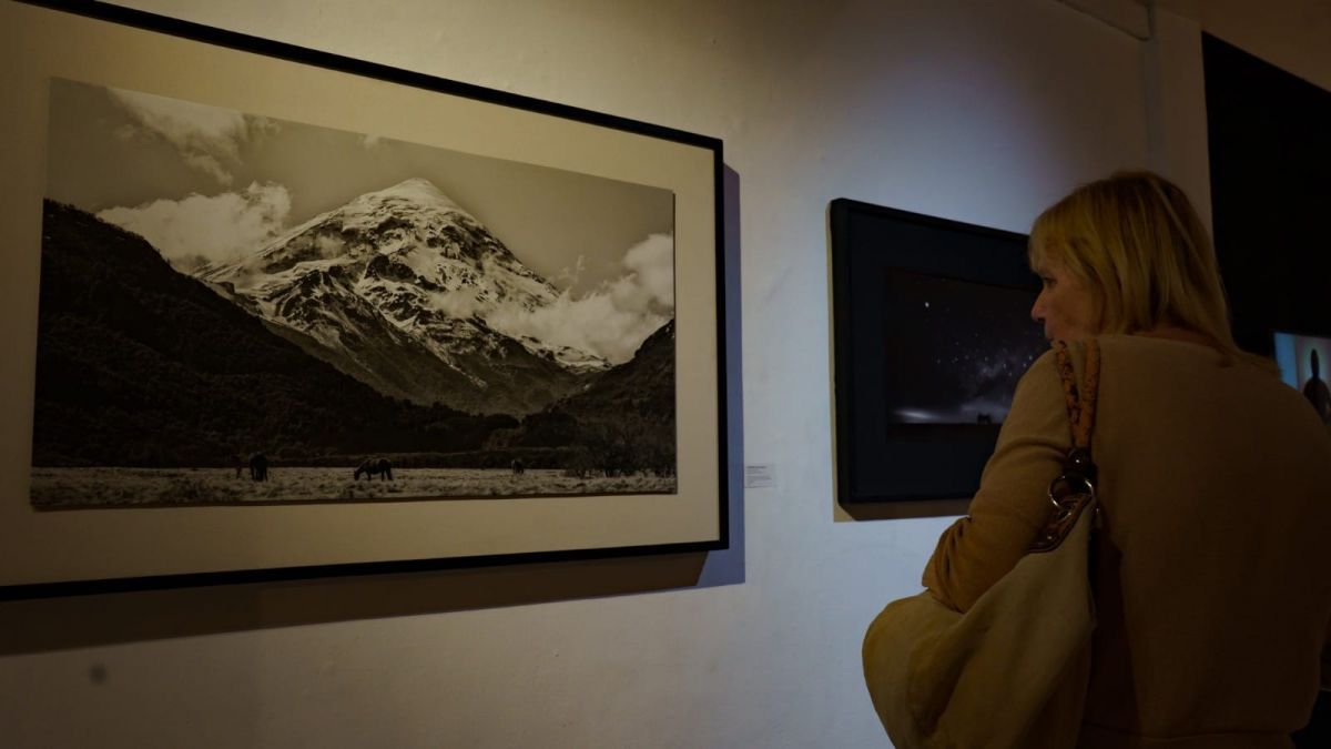 Se inauguró la expo de artistas locales y regionales 