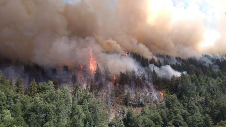 El Bolsón en vilo por un incendio forestal
