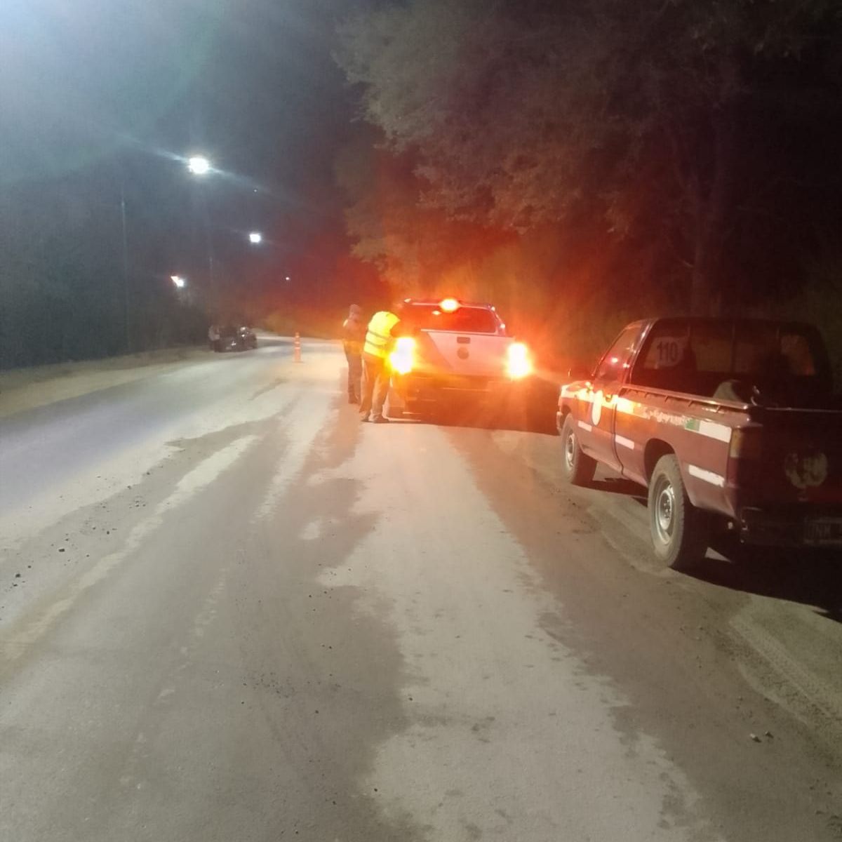 Realizan controles en la ruta a Hua Hum para detener la extracción ilegal de leña