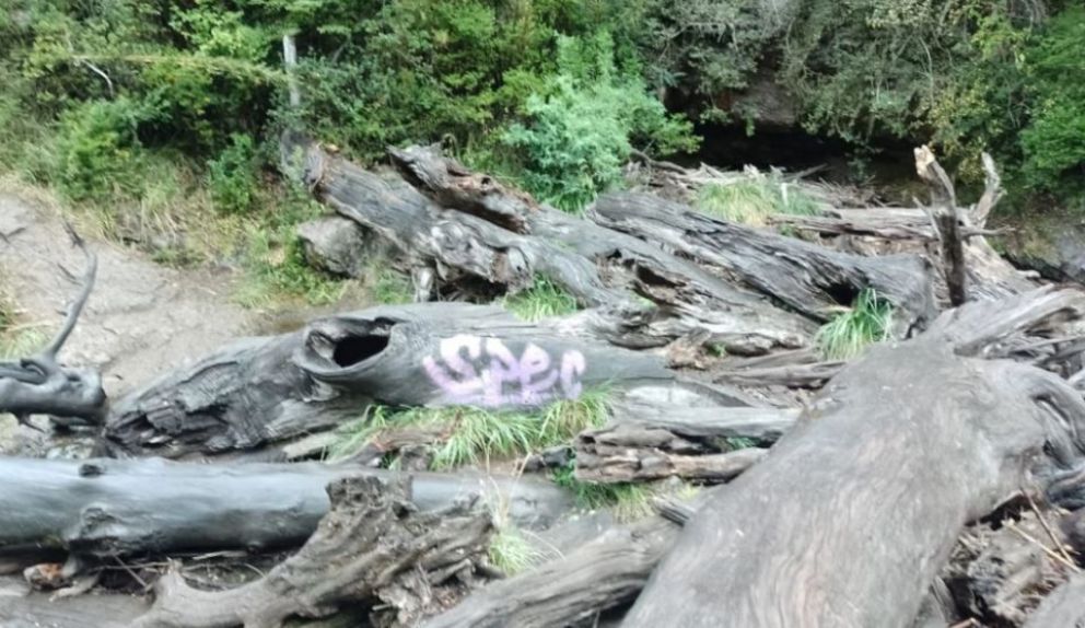 Pintaron un graffiti en la Cascada Ñivinco