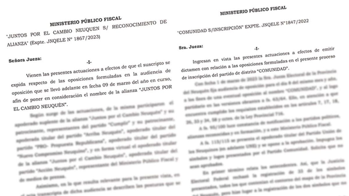 "Neuquinizate" y "Juntos por el Cambio Neuquén", con dictámenes favorables