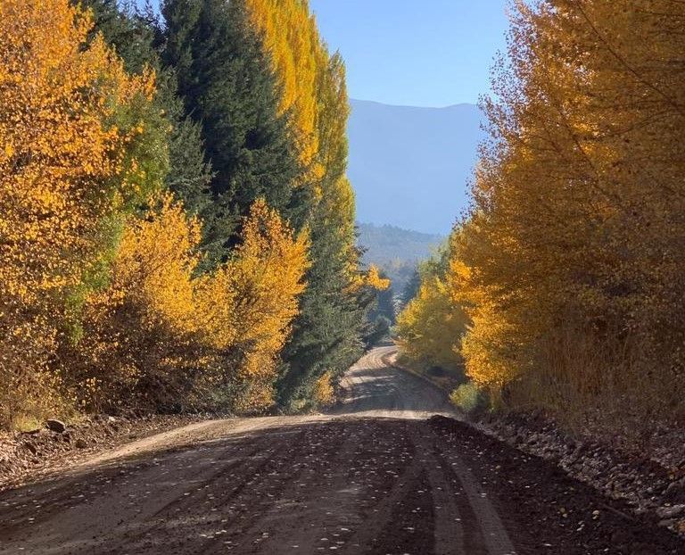En abril se licitará el asfalto de la ruta 62 camino al lago Lolog
