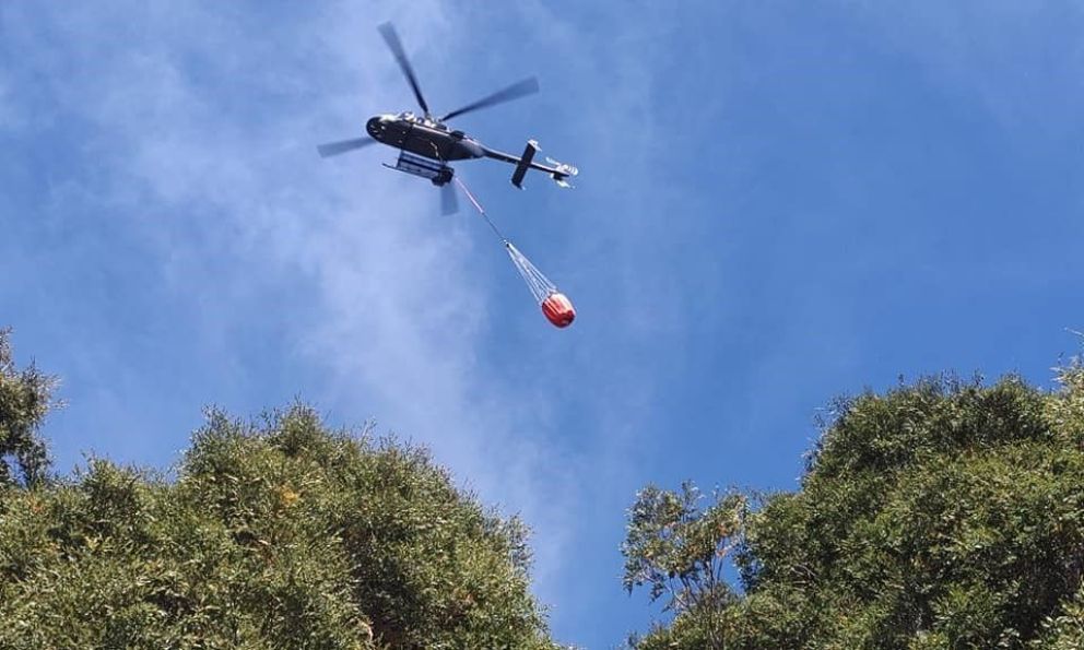 Extinguen un incendio en Lago Tromen