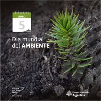 Día mundial del Ambiente